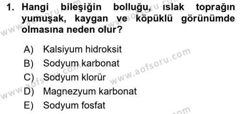 Toprak Bilgisi ve Bitki Besleme Dersi 2023 - 2024 Yılı (Final) Dönem Sonu Sınavı 1. Soru