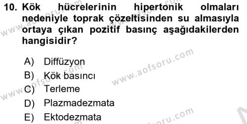 Toprak Bilgisi ve Bitki Besleme Dersi 2023 - 2024 Yılı (Final) Dönem Sonu Sınavı 10. Soru