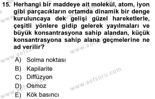 Toprak Bilgisi ve Bitki Besleme Dersi 2023 - 2024 Yılı (Final) Dönem Sonu Sınavı 15. Soru