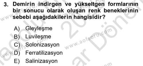 Toprak Bilgisi ve Bitki Besleme Dersi 2023 - 2024 Yılı (Final) Dönem Sonu Sınavı 3. Soru