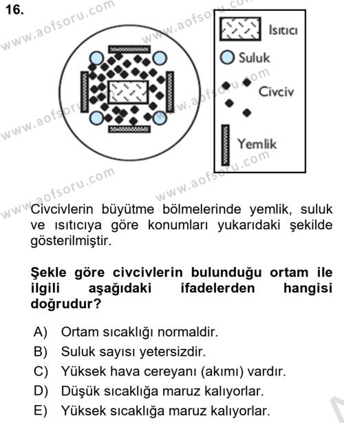 Hayvan Yetiştirme Dersi 2018 - 2019 Yılı 3 Ders Sınavı 16. Soru