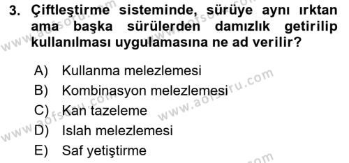 Hayvan Yetiştirme Dersi 2021 - 2022 Yılı (Final) Dönem Sonu Sınavı 3. Soru