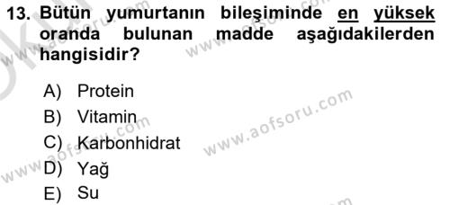 Hayvan Yetiştirme Dersi 2021 - 2022 Yılı Yaz Okulu Sınavı 13. Soru