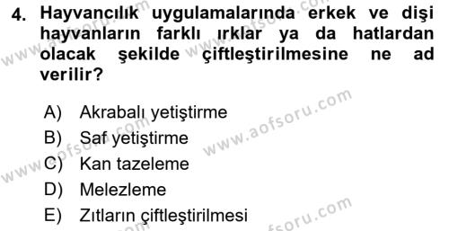 Hayvan Yetiştirme Dersi 2021 - 2022 Yılı Yaz Okulu Sınavı 4. Soru