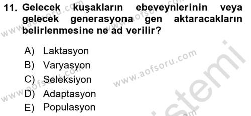 Hayvan Yetiştirme Dersi 2022 - 2023 Yılı (Vize) Ara Sınavı 11. Soru