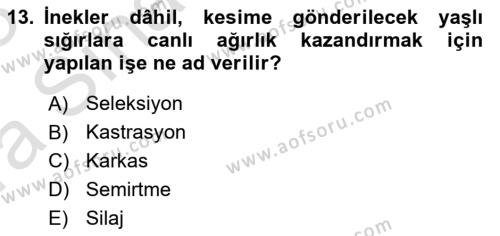 Hayvan Yetiştirme Dersi 2022 - 2023 Yılı (Vize) Ara Sınavı 13. Soru