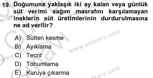 Hayvan Yetiştirme Dersi 2022 - 2023 Yılı (Vize) Ara Sınavı 19. Soru