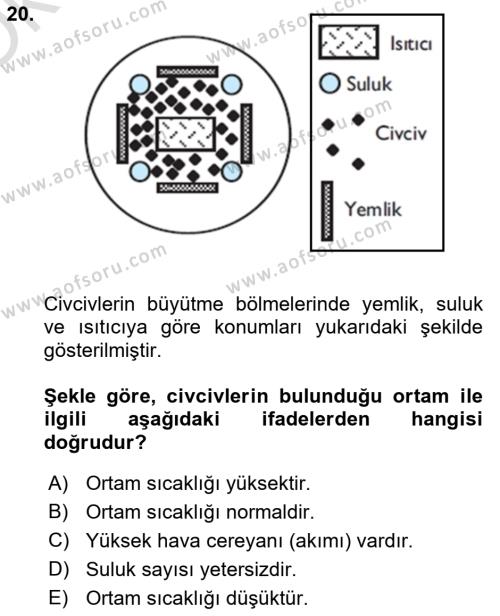 Hayvan Yetiştirme Dersi 2022 - 2023 Yılı Yaz Okulu Sınavı 20. Soru