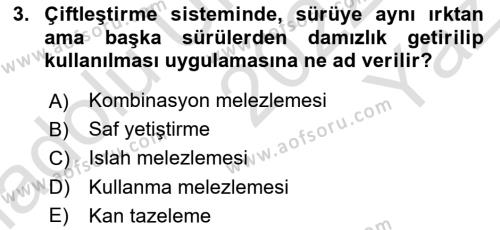 Hayvan Yetiştirme Dersi 2022 - 2023 Yılı Yaz Okulu Sınavı 3. Soru