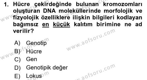 Hayvan Yetiştirme Dersi 2023 - 2024 Yılı (Vize) Ara Sınavı 1. Soru