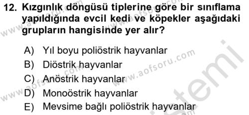 Hayvan Yetiştirme Dersi 2023 - 2024 Yılı (Vize) Ara Sınavı 12. Soru