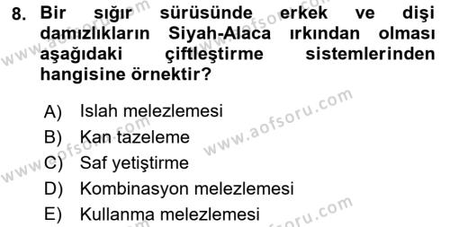 Hayvan Yetiştirme Dersi 2023 - 2024 Yılı (Vize) Ara Sınavı 8. Soru