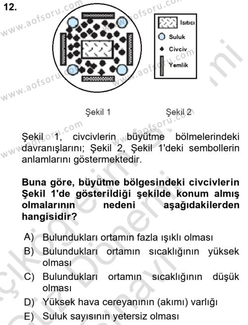 Hayvan Yetiştirme Dersi 2023 - 2024 Yılı (Final) Dönem Sonu Sınavı 12. Soru