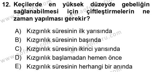 Hayvan Yetiştirme Dersi 2023 - 2024 Yılı Yaz Okulu Sınavı 12. Soru