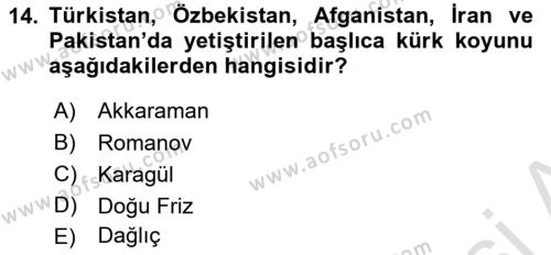 Hayvan Yetiştirme Dersi 2023 - 2024 Yılı Yaz Okulu Sınavı 14. Soru