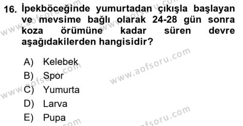 Hayvan Yetiştirme Dersi 2023 - 2024 Yılı Yaz Okulu Sınavı 16. Soru