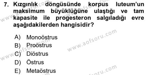 Hayvan Yetiştirme Dersi 2023 - 2024 Yılı Yaz Okulu Sınavı 7. Soru