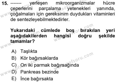 Hayvan Besleme Dersi 2020 - 2021 Yılı Yaz Okulu Sınavı 15. Soru