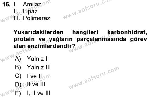 Hayvan Besleme Dersi 2020 - 2021 Yılı Yaz Okulu Sınavı 16. Soru