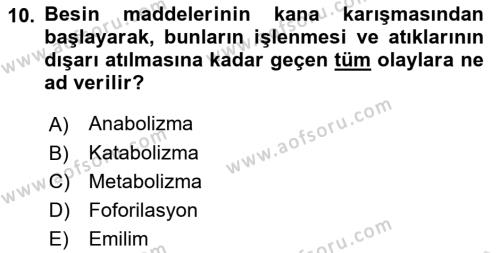 Hayvan Besleme Dersi 2021 - 2022 Yılı (Vize) Ara Sınavı 10. Soru