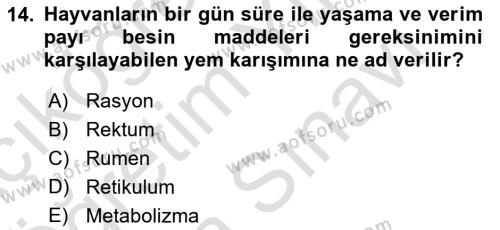 Hayvan Besleme Dersi 2021 - 2022 Yılı (Vize) Ara Sınavı 14. Soru