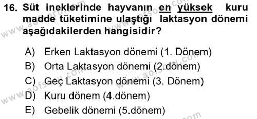 Hayvan Besleme Dersi 2021 - 2022 Yılı (Vize) Ara Sınavı 16. Soru