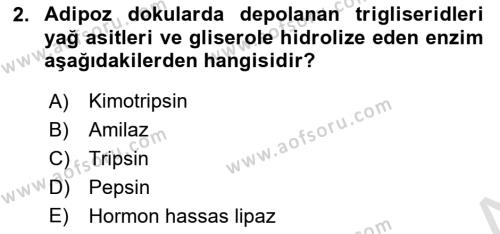 Hayvan Besleme Dersi 2021 - 2022 Yılı (Vize) Ara Sınavı 2. Soru