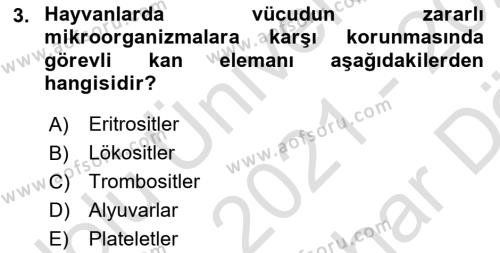 Hayvan Besleme Dersi 2021 - 2022 Yılı (Vize) Ara Sınavı 3. Soru