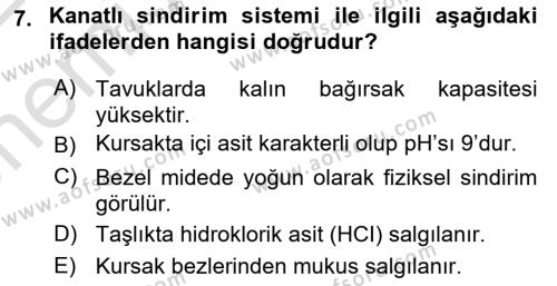 Hayvan Besleme Dersi 2021 - 2022 Yılı (Vize) Ara Sınavı 7. Soru