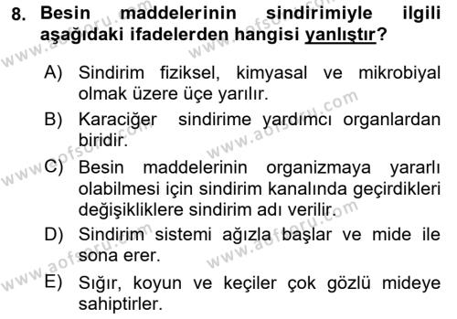 Hayvan Besleme Dersi 2021 - 2022 Yılı (Vize) Ara Sınavı 8. Soru