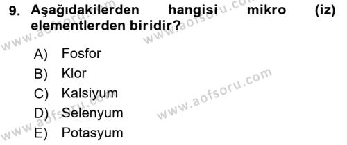 Hayvan Besleme Dersi 2021 - 2022 Yılı (Vize) Ara Sınavı 9. Soru