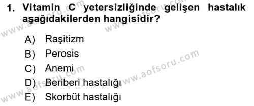 Hayvan Besleme Dersi 2021 - 2022 Yılı (Final) Dönem Sonu Sınavı 1. Soru