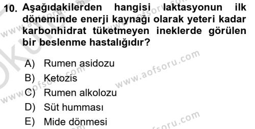 Hayvan Besleme Dersi 2021 - 2022 Yılı Yaz Okulu Sınavı 10. Soru