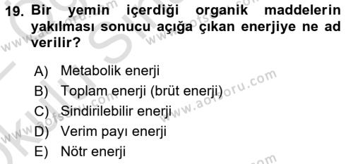 Hayvan Besleme Dersi 2021 - 2022 Yılı Yaz Okulu Sınavı 19. Soru