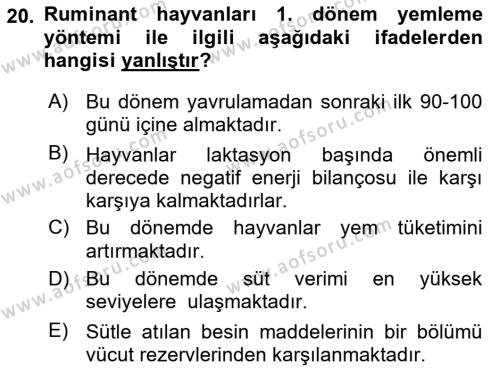 Hayvan Besleme Dersi 2021 - 2022 Yılı Yaz Okulu Sınavı 20. Soru