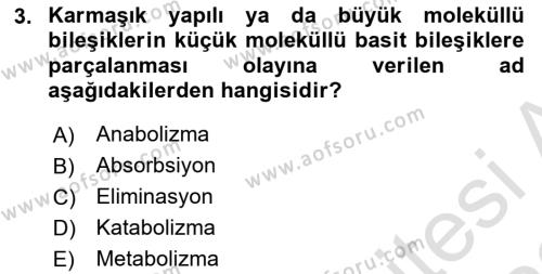 Hayvan Besleme Dersi 2021 - 2022 Yılı Yaz Okulu Sınavı 3. Soru