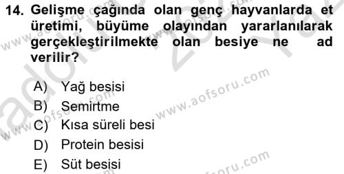 Hayvan Besleme Dersi 2022 - 2023 Yılı Yaz Okulu Sınavı 14. Soru