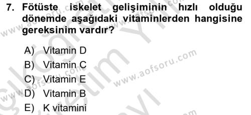 Hayvan Besleme Dersi 2022 - 2023 Yılı Yaz Okulu Sınavı 7. Soru