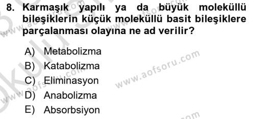 Hayvan Besleme Dersi 2022 - 2023 Yılı Yaz Okulu Sınavı 8. Soru