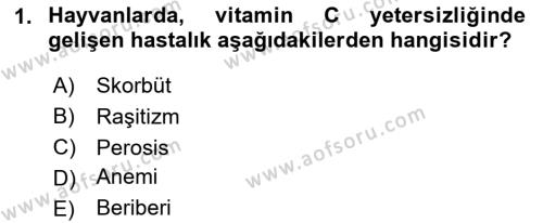 Hayvan Besleme Dersi 2023 - 2024 Yılı (Vize) Ara Sınavı 1. Soru