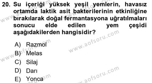 Hayvan Besleme Dersi 2023 - 2024 Yılı (Vize) Ara Sınavı 20. Soru