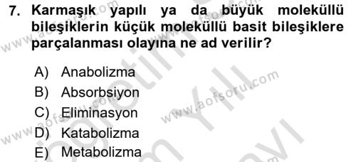 Hayvan Besleme Dersi 2023 - 2024 Yılı (Vize) Ara Sınavı 7. Soru