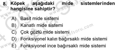 Hayvan Besleme Dersi 2023 - 2024 Yılı (Vize) Ara Sınavı 8. Soru