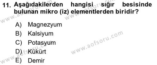 Hayvan Besleme Dersi 2023 - 2024 Yılı (Final) Dönem Sonu Sınavı 11. Soru