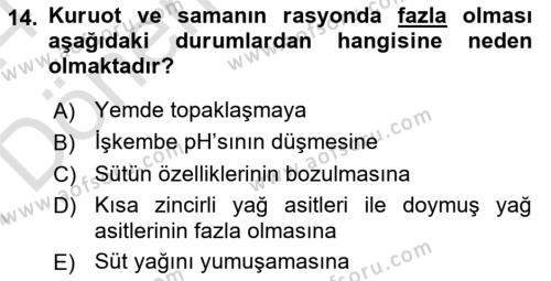 Hayvan Besleme Dersi 2023 - 2024 Yılı (Final) Dönem Sonu Sınavı 14. Soru