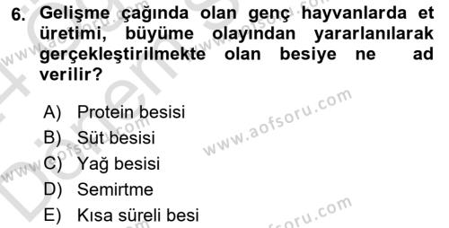 Hayvan Besleme Dersi 2023 - 2024 Yılı (Final) Dönem Sonu Sınavı 6. Soru