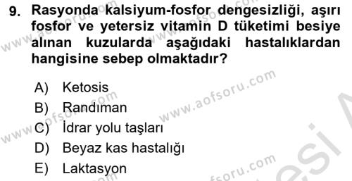 Hayvan Besleme Dersi 2023 - 2024 Yılı (Final) Dönem Sonu Sınavı 9. Soru