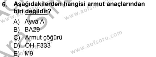 Bahçe Tarımı 2 Dersi 2012 - 2013 Yılı (Vize) Ara Sınavı 6. Soru