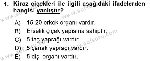 Bahçe Tarımı 2 Dersi 2016 - 2017 Yılı (Vize) Ara Sınavı 1. Soru