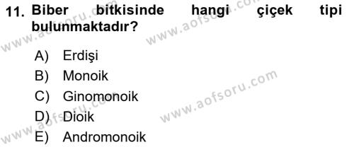 Bahçe Tarımı 2 Dersi 2020 - 2021 Yılı Yaz Okulu Sınavı 11. Soru